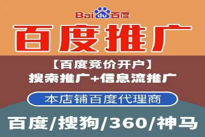 案例分析：SEM托管服务助力电商销量倍增